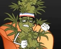 Marijuana vs. Crystal Meth cartoon
