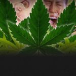 For first time, Colorado sells more recreational pot than medical pot