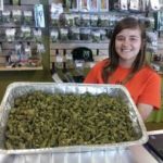 Drug Warriors Try but Fail to Show That Marijuana Legalization Has Been a Disaster in Colorado