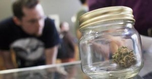 Over 20 Cities Will Vote Whether to Decrim Pot This Fall 