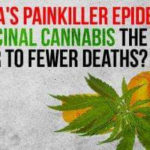 Tennessee Needs Medical Cannabis to Fight the Opioid Epidemic