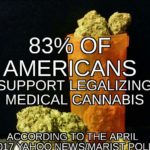 Tennesseans’ Support for Medical Cannabis Reflect National Polling Numbers